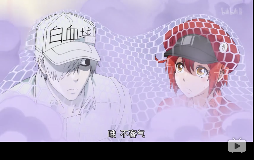 工作细胞第1集 肺炎链球菌