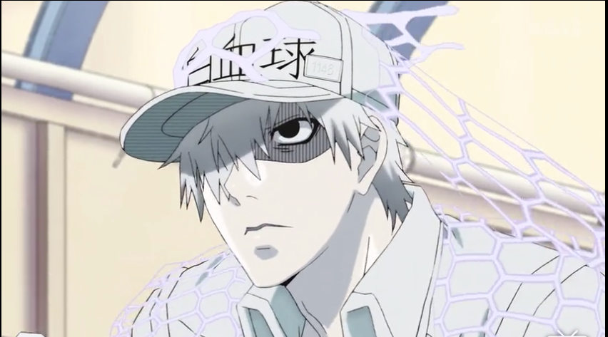 工作细胞第1集 肺炎链球菌