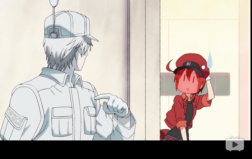 工作细胞第1集 肺炎链球菌