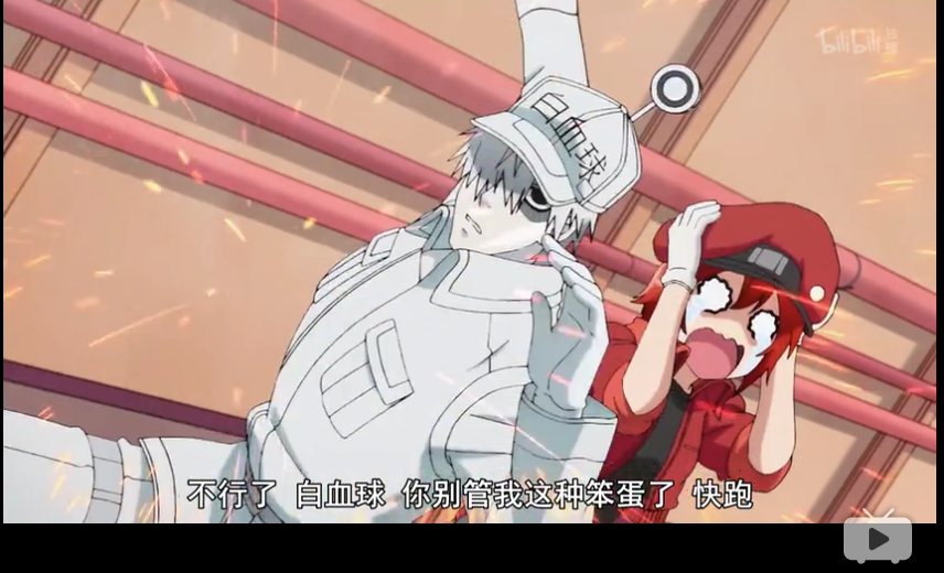 工作细胞第1集 肺炎链球菌